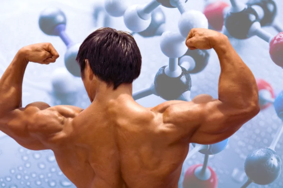 The Best HGH for Muscle Growth