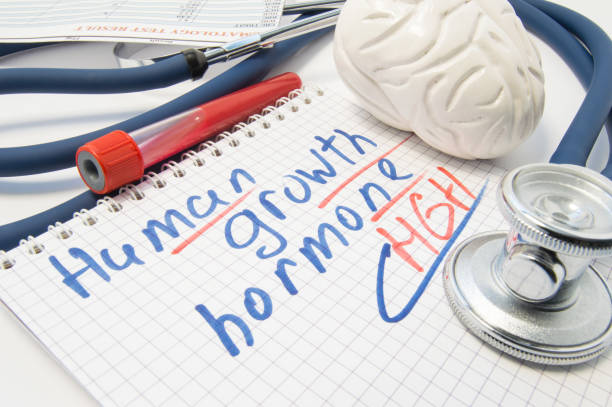 Human Growth Hormone in Weight Loss